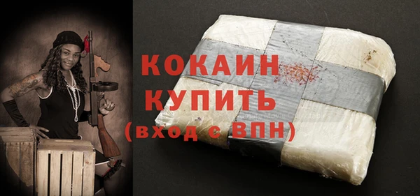 дурь Инта