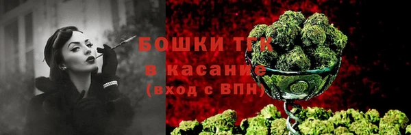 дурь Инта