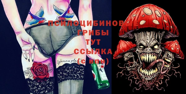 не бодяженный Инсар