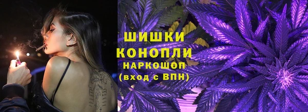 дурь Инта