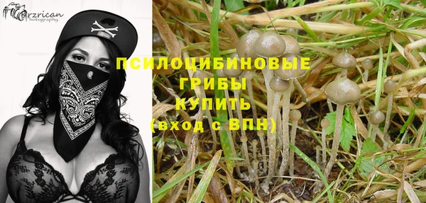 не бодяженный Инсар