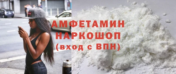 дурь Инта