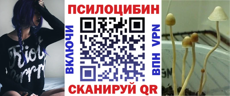 Галлюциногенные грибы прущие грибы  Хасавюрт 
