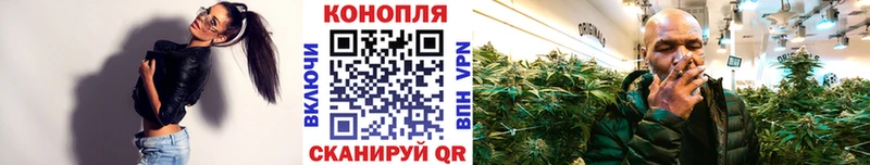 Бошки марихуана Amnesia  blacksprut рабочий сайт  Хасавюрт 